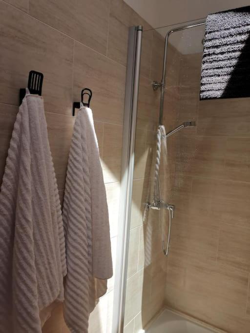 Duplex Espectacular En El Centro De Camprodon. Apartment Екстериор снимка